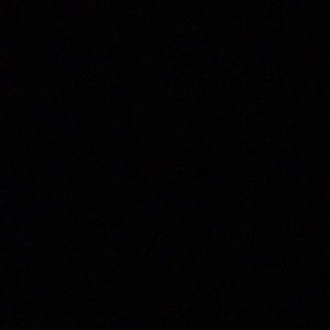 Meet your Posher, Lilly